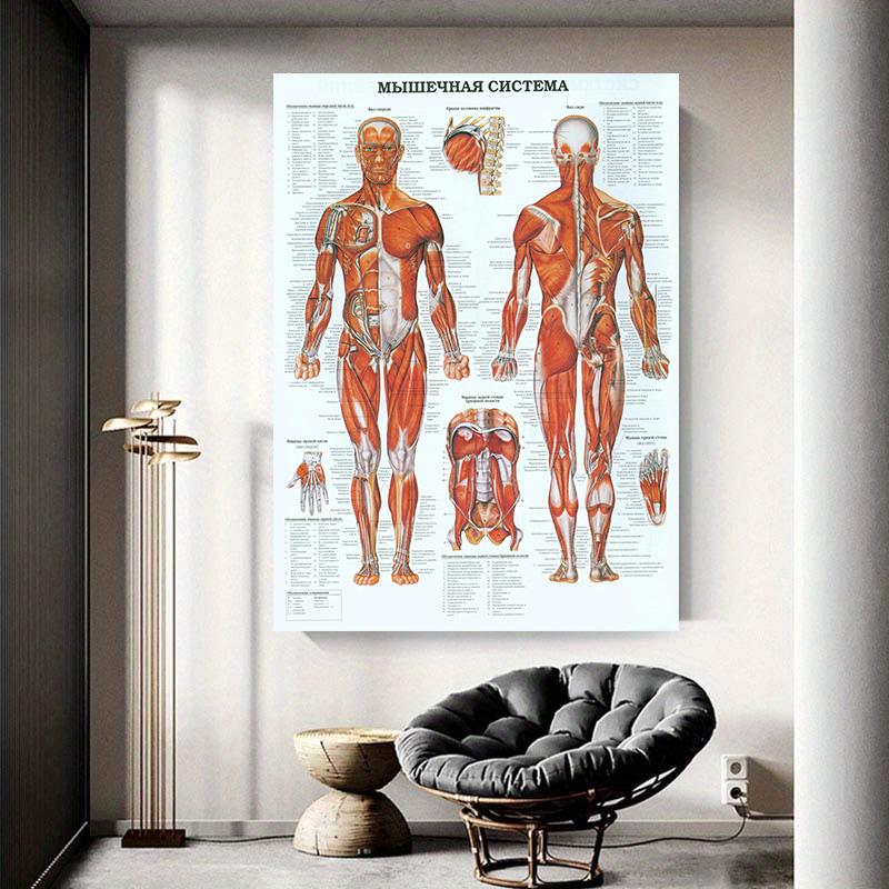 Retro Organ Systems In The Human Canvas Painting Posters Skeleton Anatomy Kraft Paper Prints Vintage Home Room Art Wall Decor Paintings