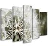 Картина из пяти частей на холсте Одуванчик Белые цветы