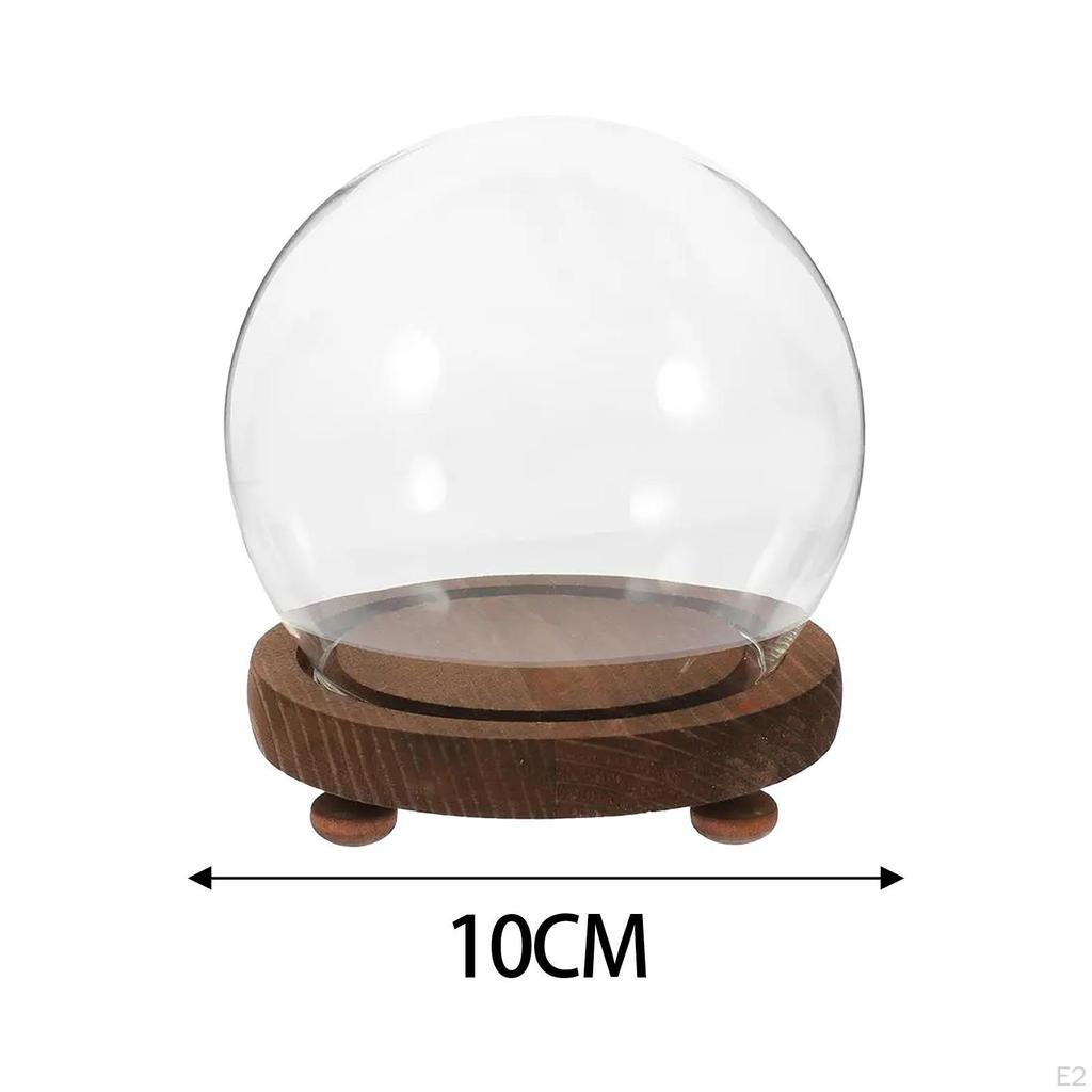 Clear Glass Container for Micro Landscape and Floral Displays