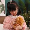 Home Decoration Animal Plush Toy Chow Chow Plush Toy Puppy Dog Stuffed Toy Lifelike Puppy Dog Doll