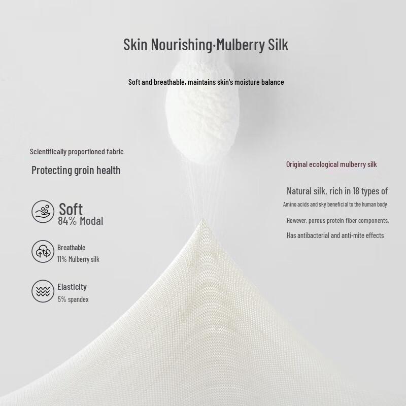 Hengyuanxiang Men's Large Size 7A Antibacterial Modal Boxer Briefs 4-Pack