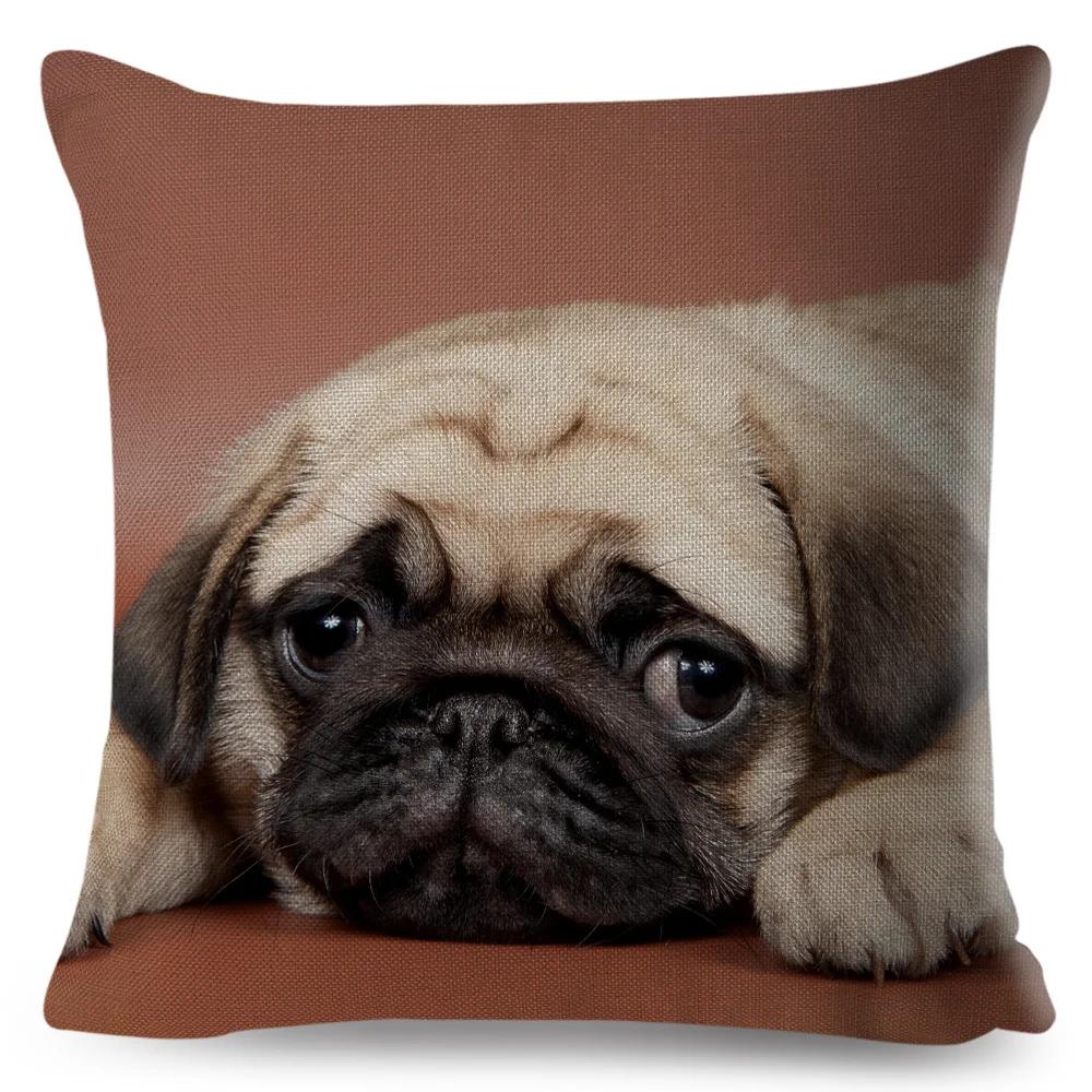 Both Sided Pug Dog Print Cushion Cover Decoration Pet Animal Pillow Case for Sofa Home Car Linen Pillowcase 45x45cm