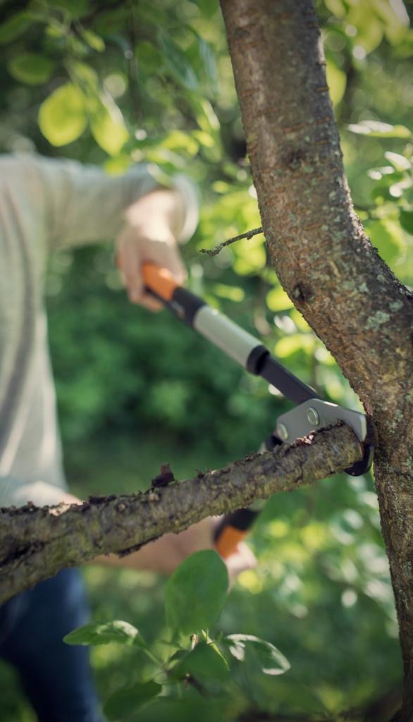 Fiskars Powergearx Sekator Ogrodowy Dźwigniowy Nożycowy Do Grubych Gałęzi M