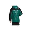 The North Face Пуховики Унисекс Зеленый С капюшоном Умеренный пуховик NF0A4QZ5-NL1