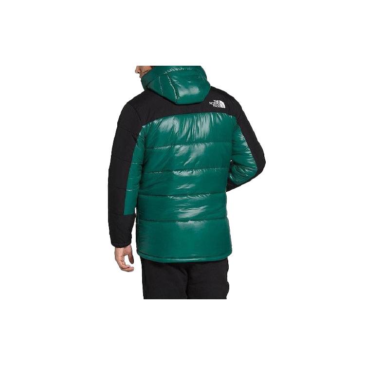 The North Face Пуховики Унисекс Зеленый С капюшоном Умеренный пуховик NF0A4QZ5-NL1