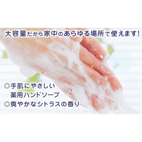 [Large Capacity] Kaneyo Soap, Medicated Hand Soap, Liquid, Commercial Use, 5kg, Foam Pump/Liquid Pump, Comes with Cock