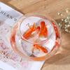Portable Transparent Round Fish Tank Clear Desktop Aquarium Bowl Fish Bowl  Small Aquariums