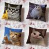Смешные мемы с котами Подушка Чехол Премиум Комфорт Двусторонний Чехол для Подушки - Дизайн Два в Одном для Любой Комнаты и Салона Автомобиля