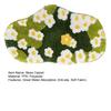 Floor Moss Carpet Cartoon Flower Print Thick Great Water Absorption Non Slip