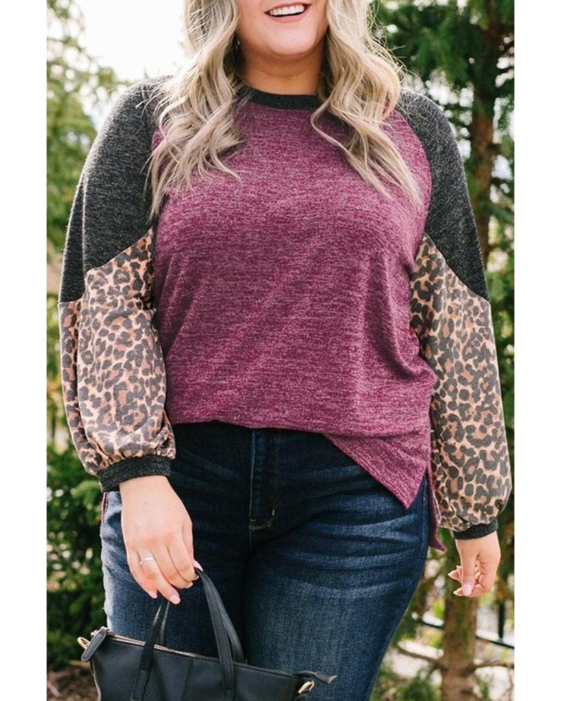 Azura Exchange Leopard Colorblock Long Sleeve Plus Size Top