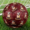 Футбольный мяч Bradford City AFC, размер 5. Стандартный мяч для матчей и тренировок. Идеальный подарок для фанатов футбола.