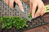 Glass stove top protector 70x52 Vintage