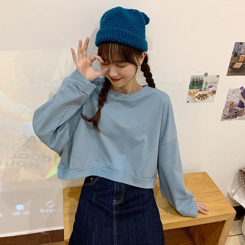Spring and Autumn Regular Models Loose Thin Section Sweater Women Casual Short Section Round Neck Long-sleeved T-shirt Retro Versatile Sweatshirt