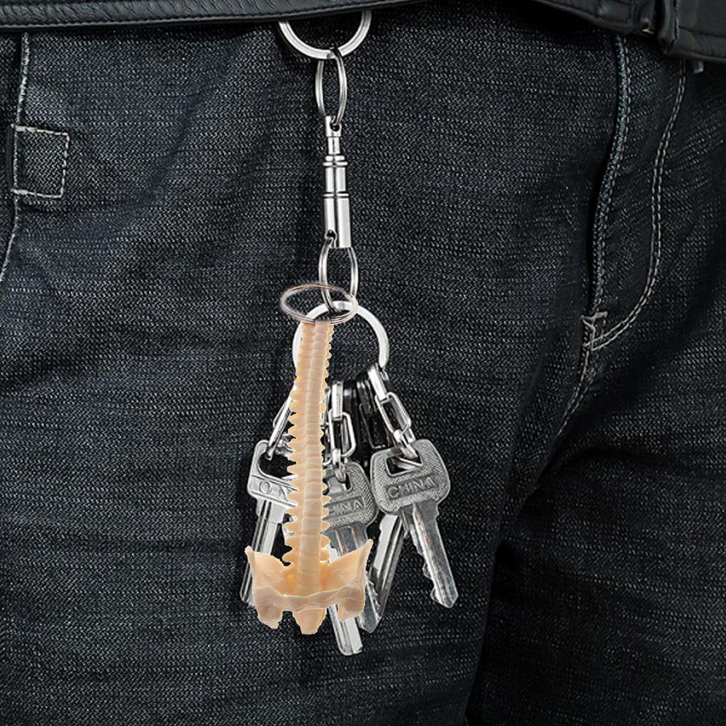 Educational Human Spine Skeleton Model Keychain Car Key Chain for Anatomy Enthusiasts Portable Classroom Teaching Tool