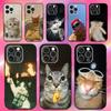 Забавный Милый Чехол для Телефона с Кошкой для iPhone 17 16 15 14 13 12 11 Pro Max Mini SE 7 8 Plus 17E Air Ударопрочный Нескользящий Мягкий Задний Чехол