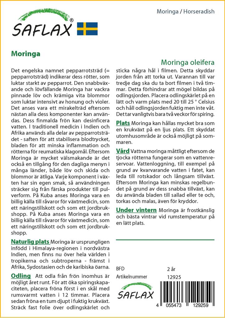 SAFLAX Хрен - 10 семян - Moringa oleifera