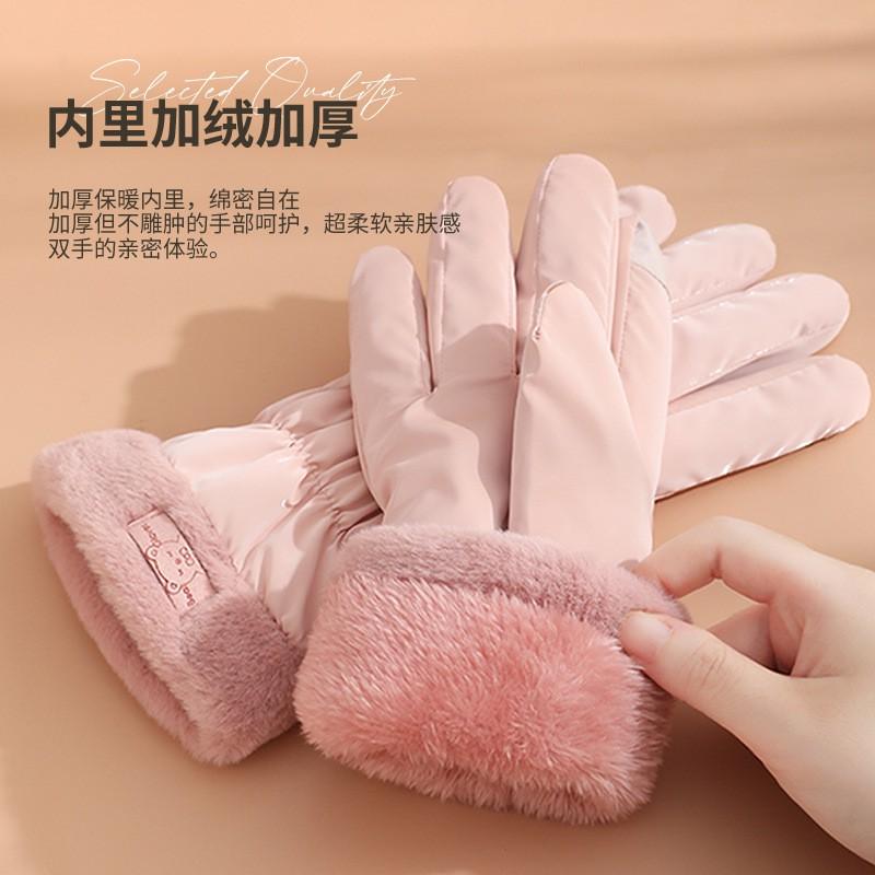 Womens Warm Fleece-Lined Windproof Water-Resistant Touchscreen Gloves Cycling Outdoor Sports Fall Winter