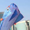 Eye-catching Blue Dolphin Kite Easy To Fly Perfect For Open Areas And Seaside