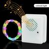 Battery Operated Music Sound Control String Fairy Lights LED Wire Christmas Light with Remote