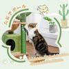 PAWZ Дорожная башня для кошек Мини-башня для кошек Кактус Маленький Низкий Стационарный Популярный Компактный Экономящий Место Гамак-царапка из пеньковой веревки Стильный Интерьер Простой
