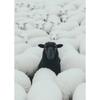 Black Sheep Canvas Poster, Art Decor Classic Retro Style, Frameless Wall Hanging Decor Print Painted Artwork, Home Decor