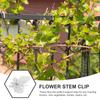 10 шт. Клипсы для фаленопсиса, зажим для поддержки растений, садовые пластиковые клипсы для фиксации вьющихся растений и орхидей