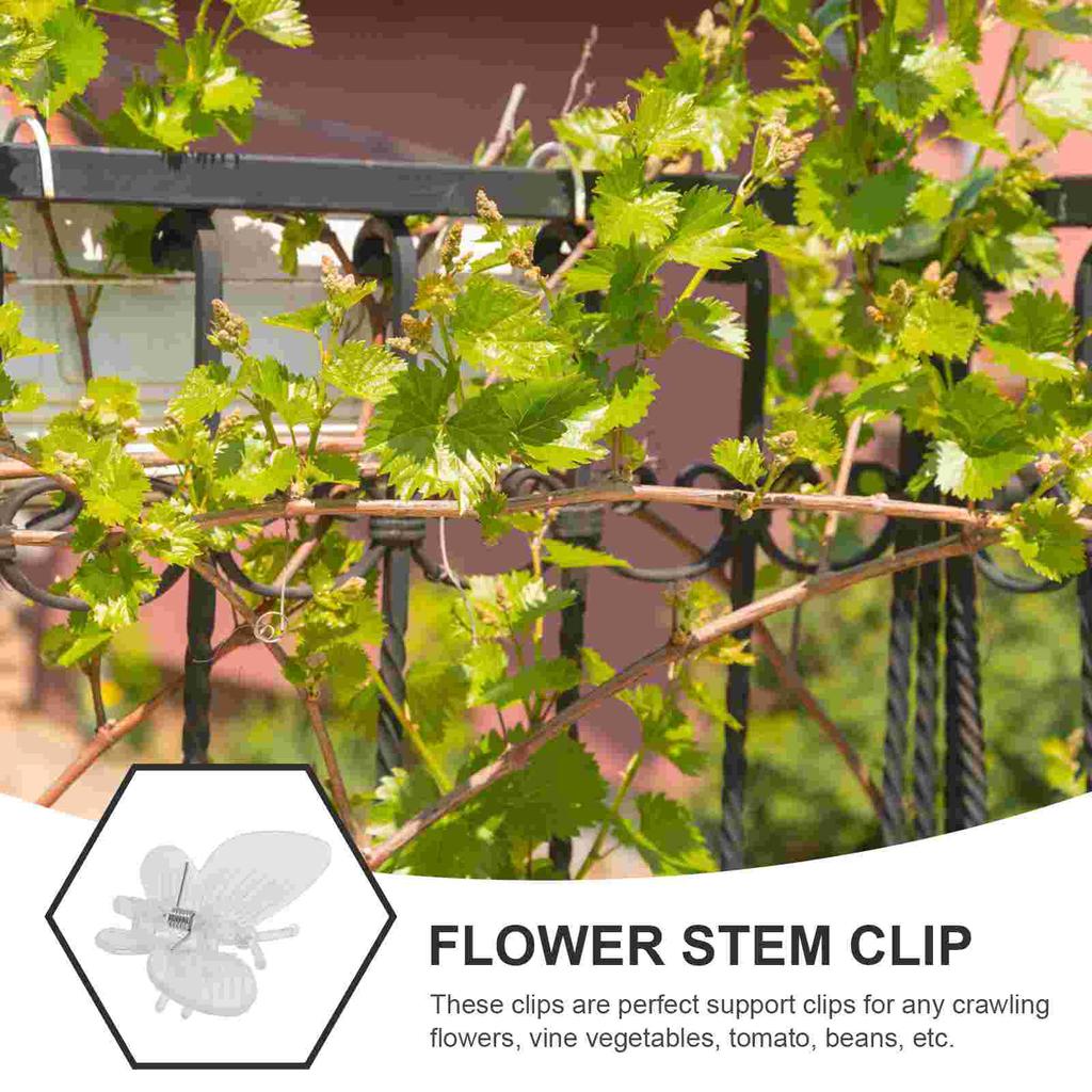 10 шт. Клипсы для фаленопсиса, зажим для поддержки растений, садовые пластиковые клипсы для фиксации вьющихся растений и орхидей