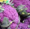 100 Purple Cauliflower Seeds - Rare Vegetable Vegetable Gardens - Reproducible Peasant Seeds - SemiWild
