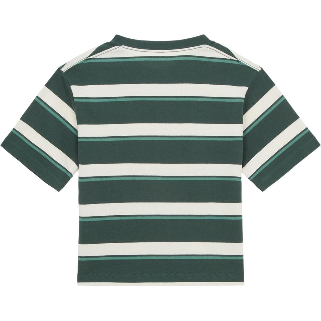 The North Face Logo Striped Loose Fit Round Neck Short Sleeve T-Shirt Unisex Tops Green NT7UR28B