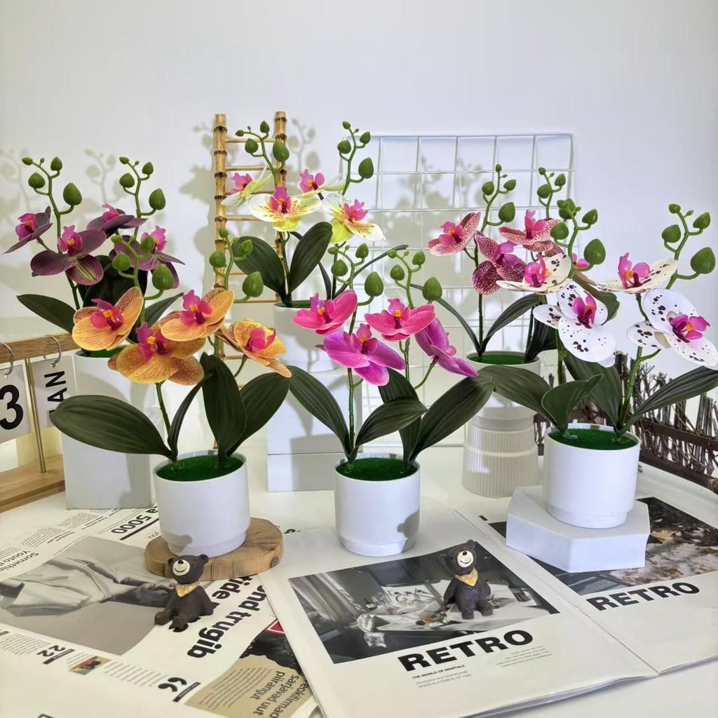 Butterfly Orchid Imitation Flower Set For Home Interior And Outdoor Garden Decoration