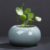 Керамическая чаша для выращивания лотоса, круглый мини-горшок для цветов, глазурованная чаша для бонсай, горшок для посадки щитолистника, небольшие гидропонные растения