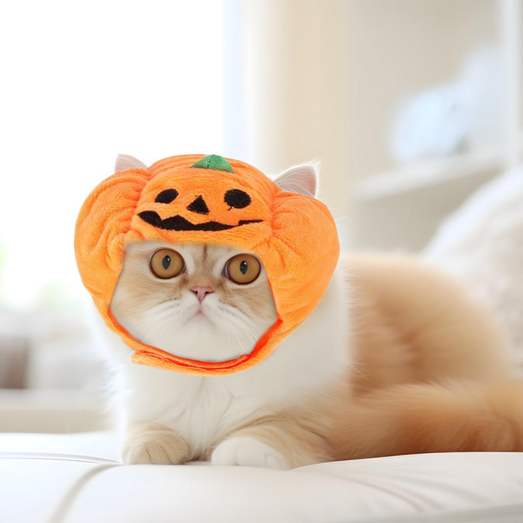 Halloween Cat Pumpkin Hat, Cute Pumpkin Holiday Decoration Pet Hat