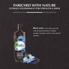 Hair Oil with Black Cumin Extract Dabur Vatika Naturals