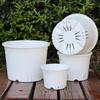 Clear Nursery Pot with Drainage Holes Transparent Plastic Orchid Pots Round Planter Pot Garden Planters for Flowers Succulents