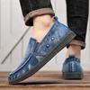 Spring 2025 New Canvas Shoes Casual Men's Low-top Loafers Fashion Trend Denim Men's Shoes