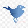 Eurasian Magpie Iron On Heat Transfer Printing Vinyl Patches Sticker for Clothes DIY Appliques Washable Patches
