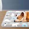 Non-Slip Pet Cooling Mat Anti Bite Pet Ice Cushion Portable Cat Sleeping Pad  Summer