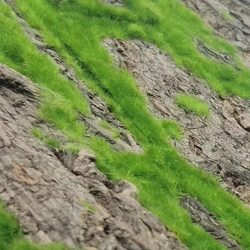 Wall Artificial Tree Bark Simulation Natural Fake Moss Plant Bark Pipe Pillar Cork Cover Balcon Garden Decor Outdoor Decoration