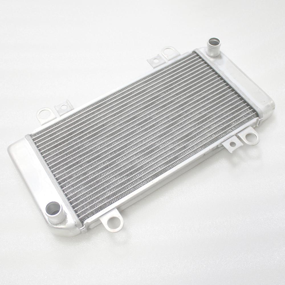 Motorcycle Motorbike Engine Radiator Aluminium Cooler Cooling Tank for NINJA250 NINJA300 EX 250 EX 300 2013 2014 2015-2019