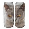 Yousheng Realistic Cat Face Socks 3D Cat Print Socks Breathable Cute Kitten Socks Funny Xmas Birthday Gifts for Women Men Cat Lovers