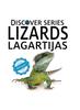 Книга Lizards / Lagartijas