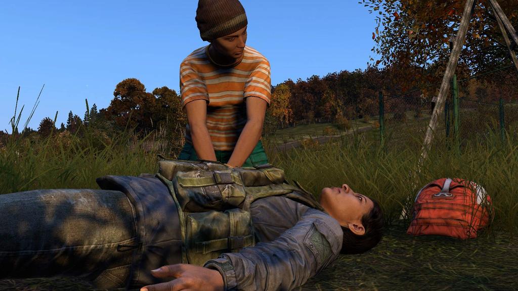 Dayz Север PS4 (Импорт Америка) -