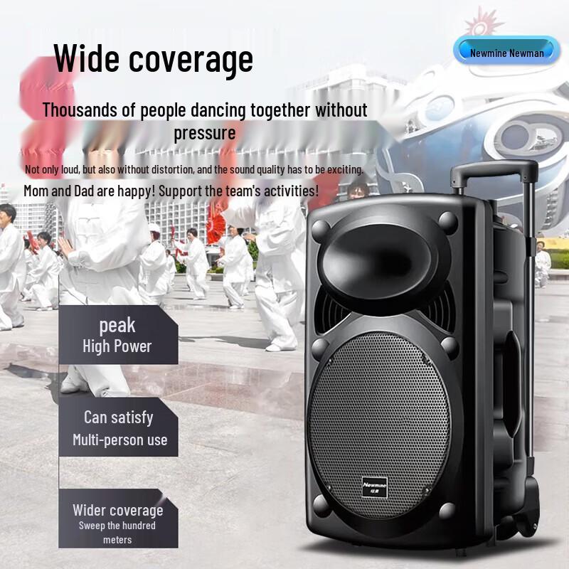 Портативная Bluetooth-колонка на колесиках Newmine B12 12 дюймов, CN-вилка (адаптер в комплекте)