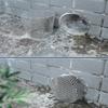Stainless Steel Gutter Guards Anti Insect Bird Downspout Filter Strainer  Bathroom Pipe