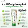 Зубная паста Dr.PONG+ 9x Herbal Plus с фтором 100 г. х 1/3 шт.