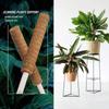 1Pcs Plant Climbing Traction Rod Fixed Bracket for Vines Creative Support Holder for Indoor Balcony Wall Greening