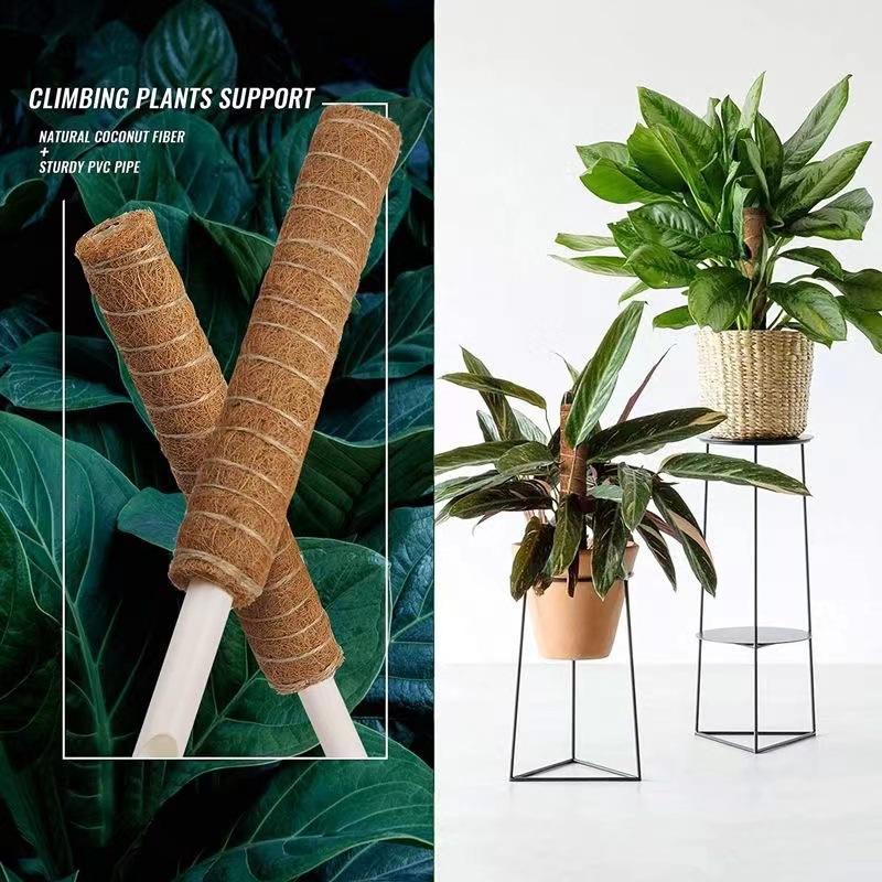 1Pcs Plant Climbing Traction Rod Fixed Bracket for Vines Creative Support Holder for Indoor Balcony Wall Greening
