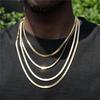 Titanium Steel Blade Chain Necklace: Men's Hip-Hop Snake Bone Stainless Steel Jewelry.