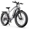 Duotts F26 Lite Electric Bicycle 750W Motor 26" Fat Tire Adult Electric Bike 48V 18AH LCD Display Max Load 150Kg With App