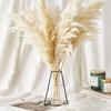 5/10/20 шт., белый тростник, пампасная трава, колосья пшеницы, кроличий хвост, трава, натуральные сушеные цветы, букет, свадебное украшение, сено для вечеринки, богемный дом